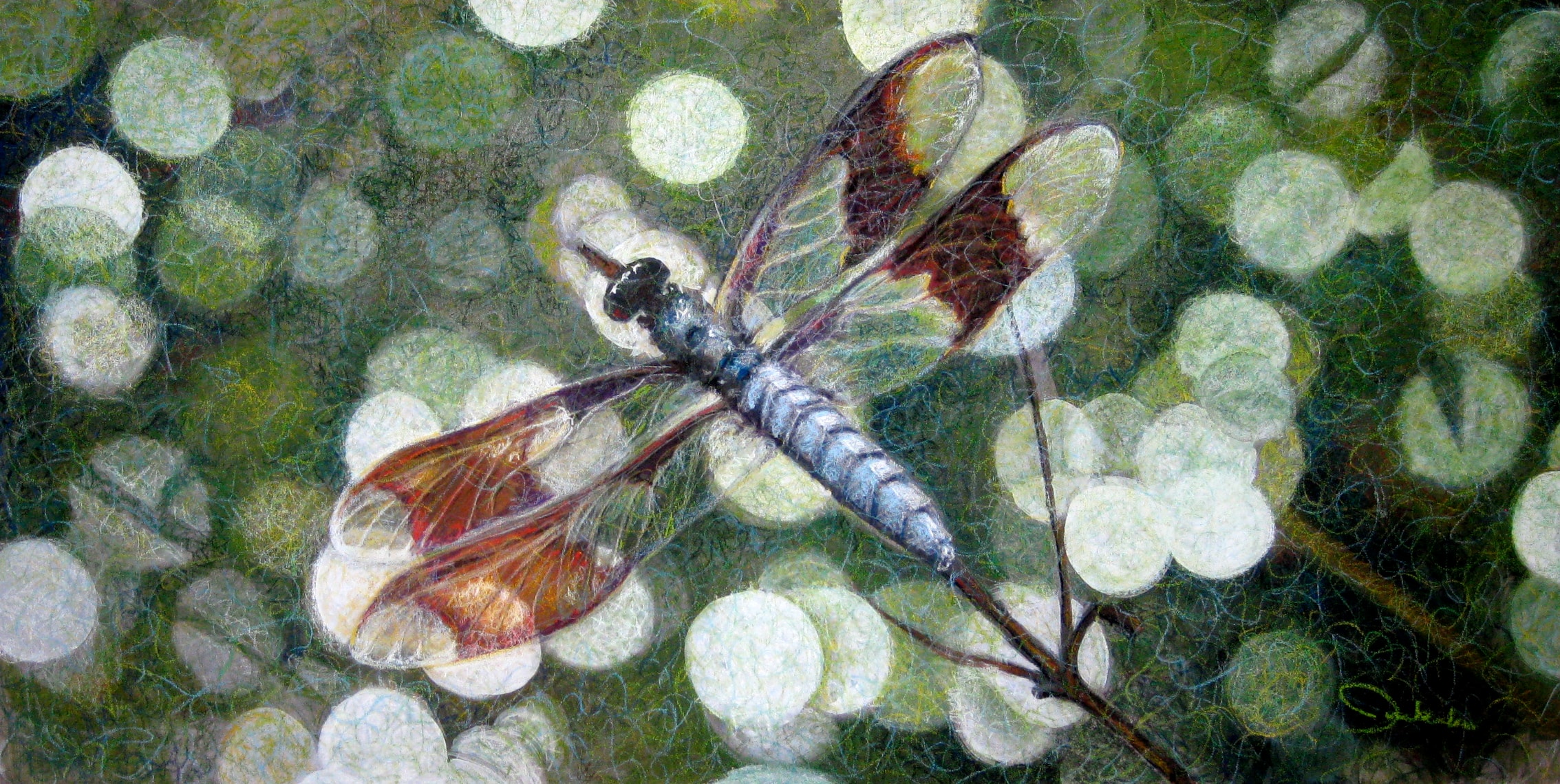 Dragonfly — Jean Junkala